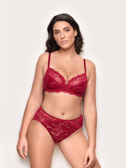 Primula Color lace high-waisted briefs