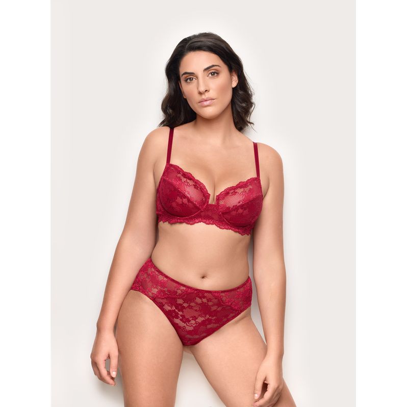 Primula Color lace high-waisted briefs