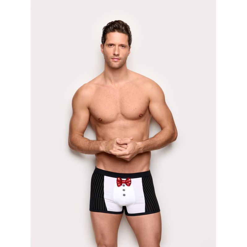 Hi Xmas red bow tie tuxedo boxer