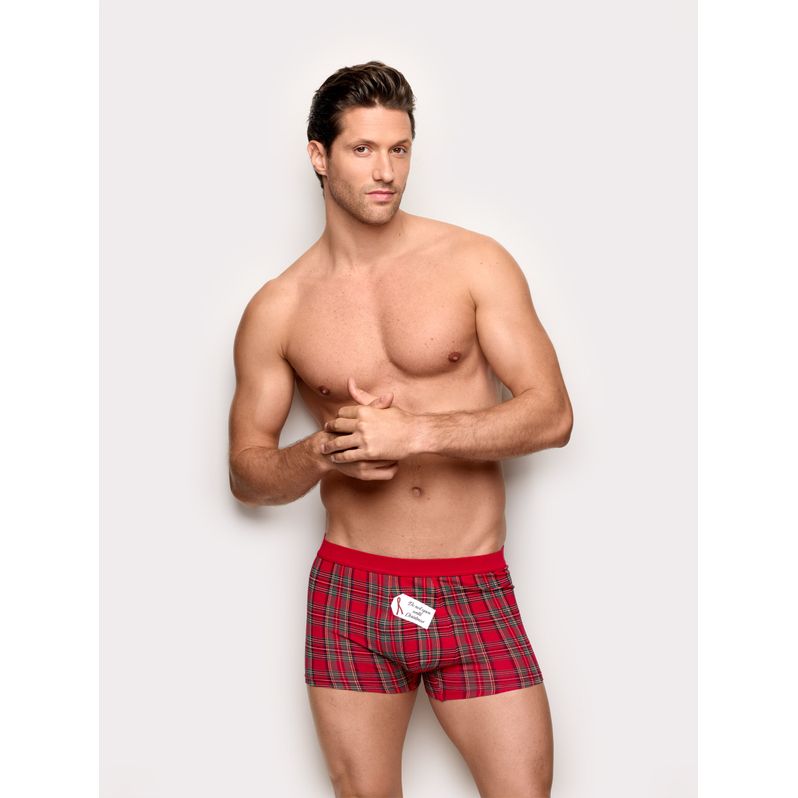 Scottish tartan boxer Hello Xmas